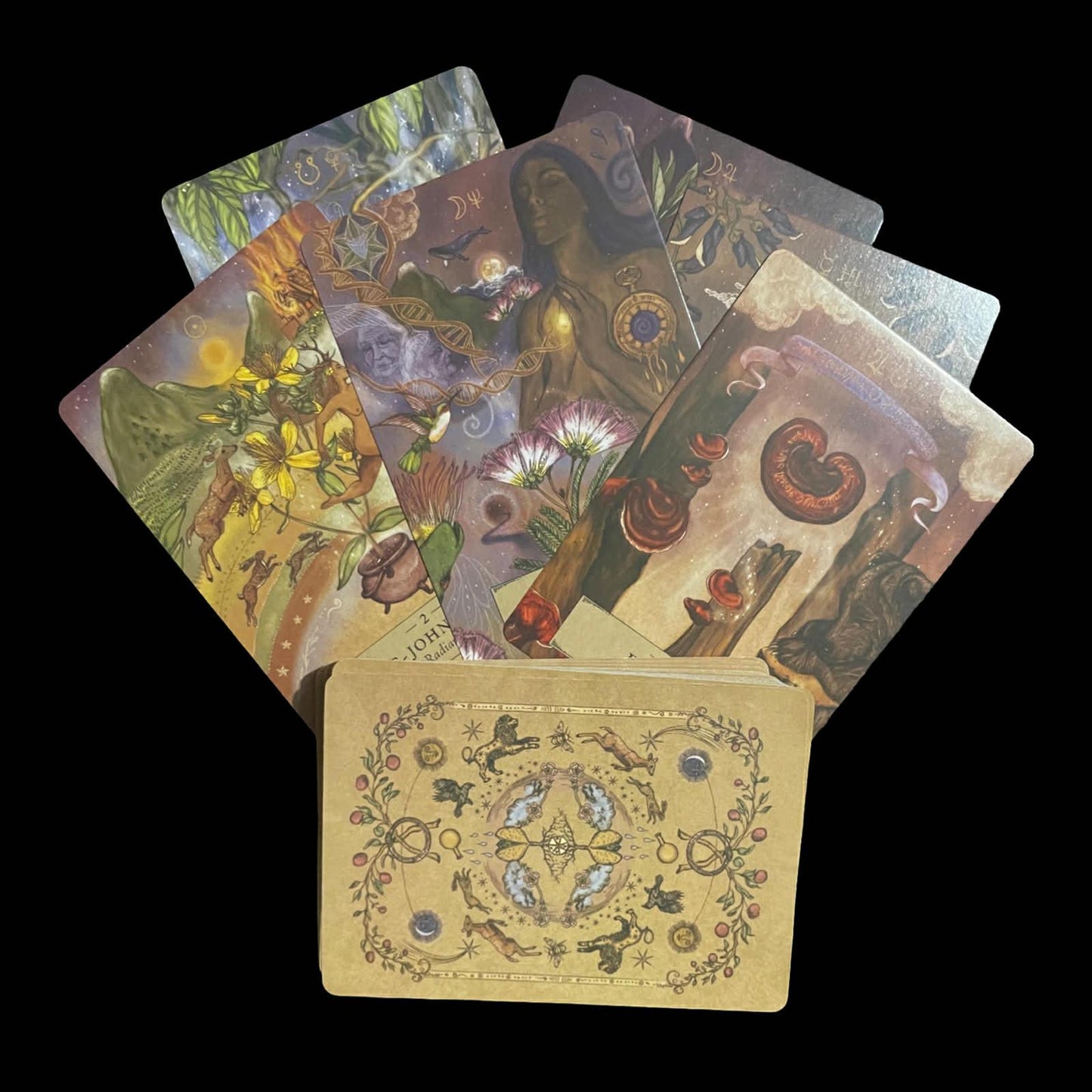 The Herbal Astrology Oracle by Adriana Ayales – Botanical Divination Deck with Art by Joséphine Klerks for Spiritual Insight - 55 Cards