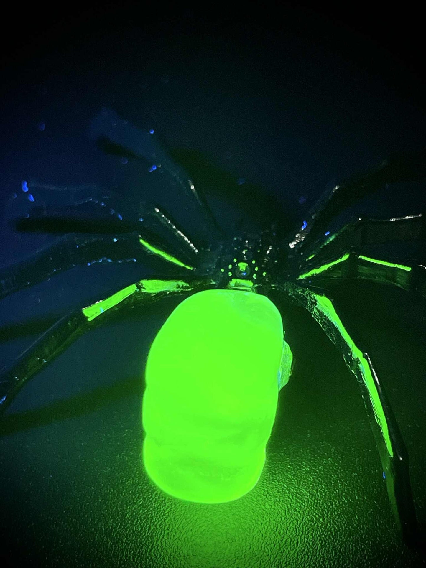 Uranium Glass (Spider) Figurine | Yellow Vaseline Glass Arachnid Statue | Eight-legged Wildlife Bug Animal | Glows Under UV Light